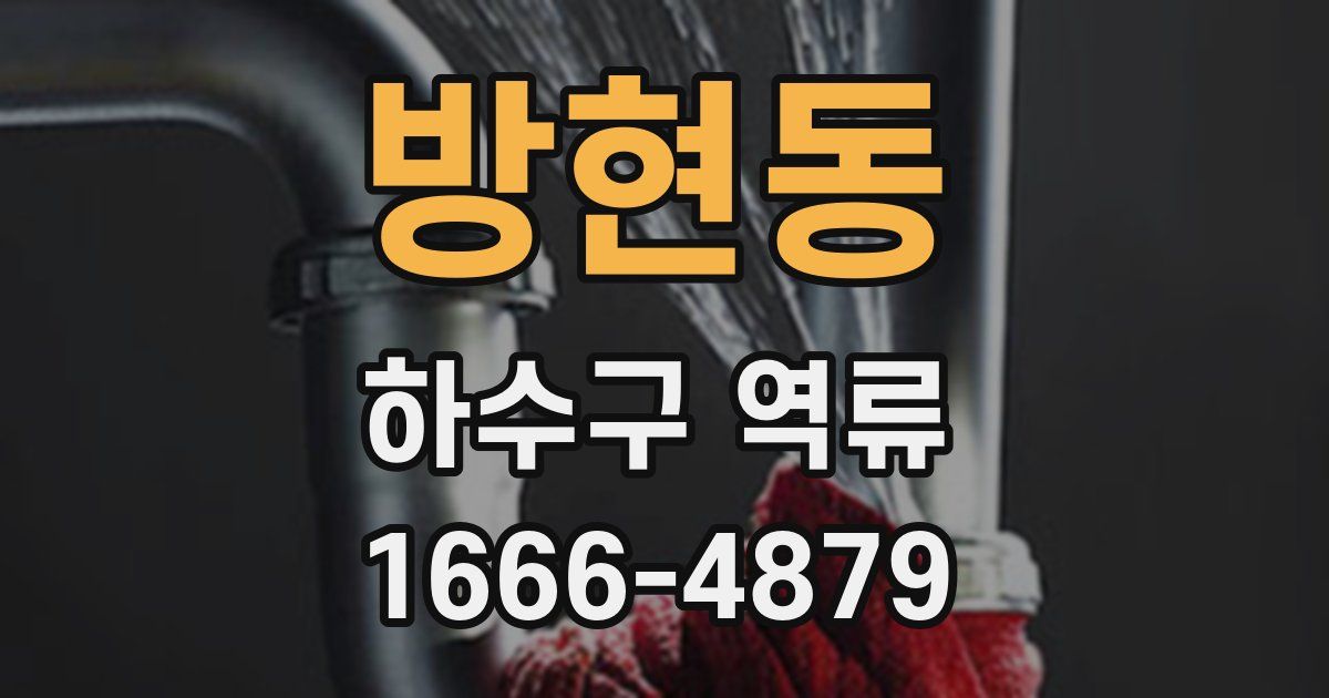 방현동 하수구 역류