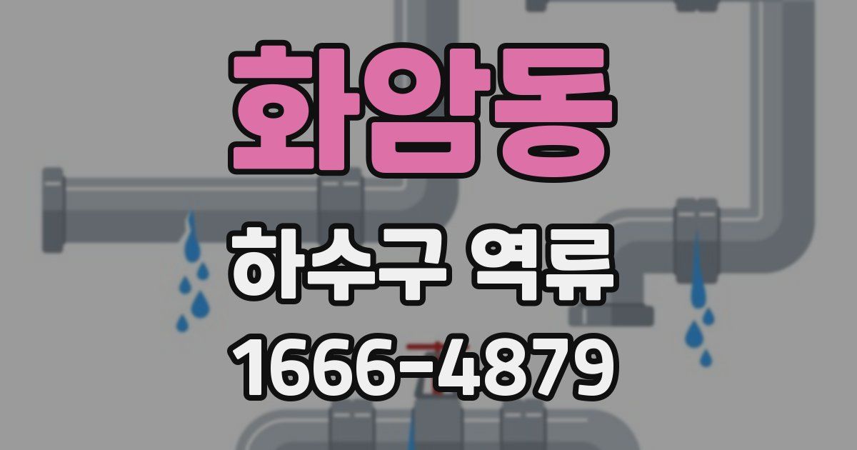 화암동 하수구 역류
