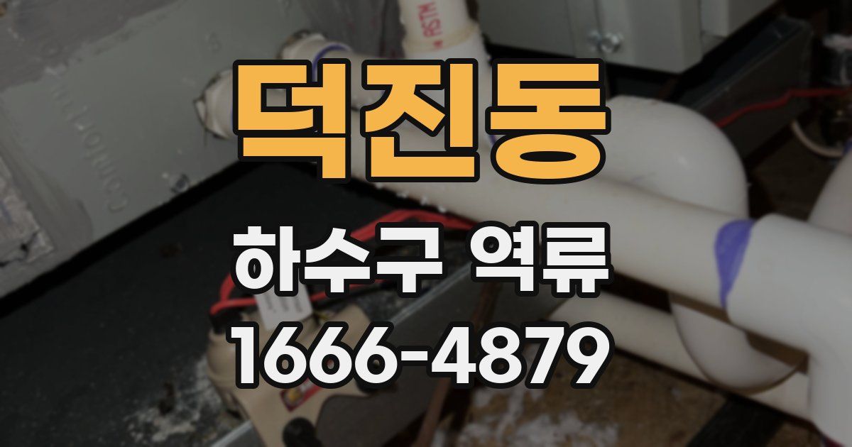 덕진동 하수구 역류