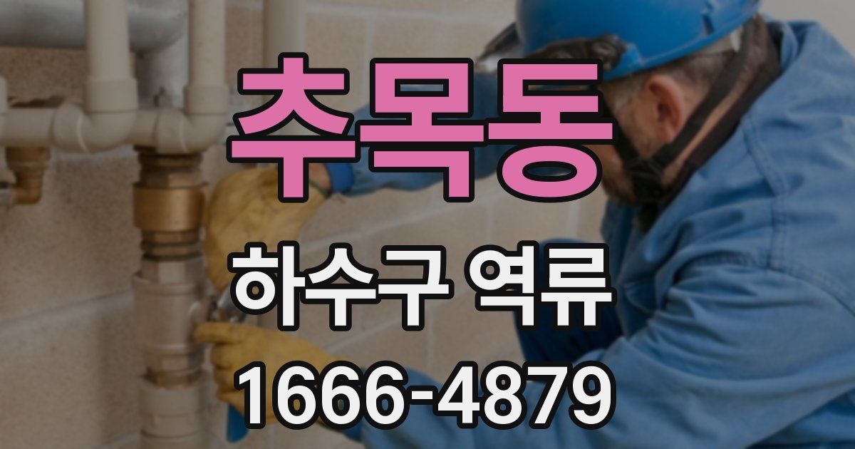 추목동 하수구 역류
