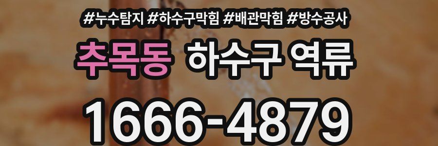 추목동 하수구 역류