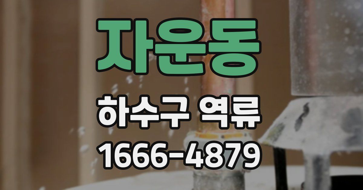 자운동 하수구 역류