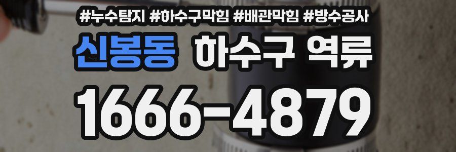 신봉동 하수구 역류