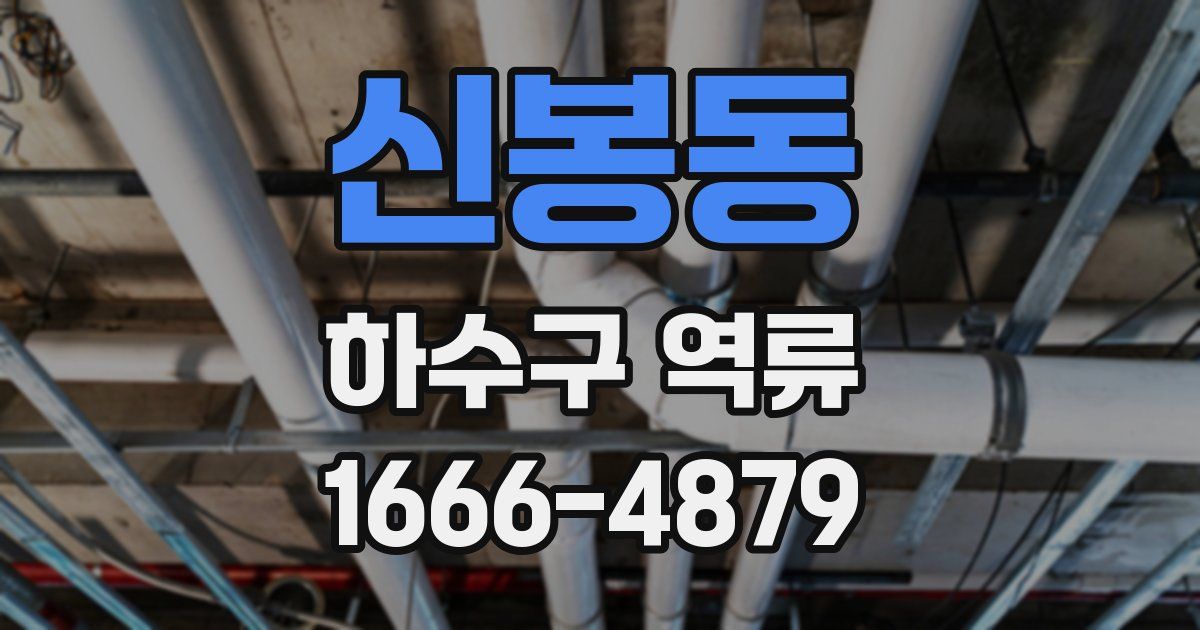 신봉동 하수구 역류