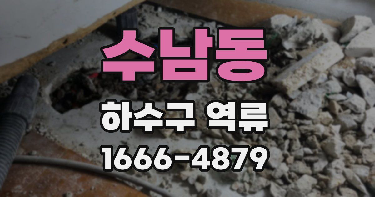 수남동 하수구 역류