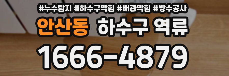 안산동 하수구 역류