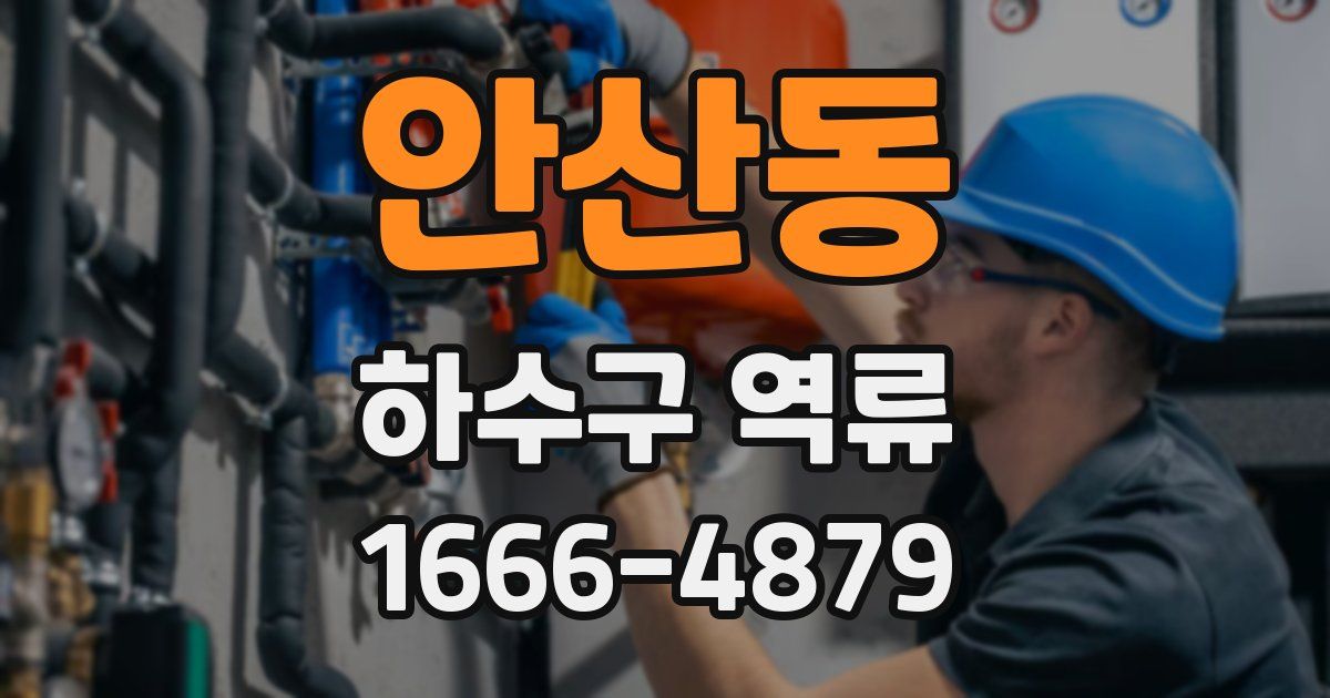 안산동 하수구 역류