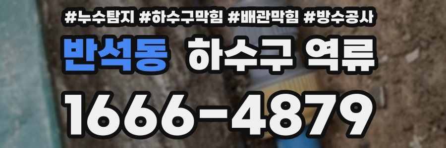 반석동 하수구 역류