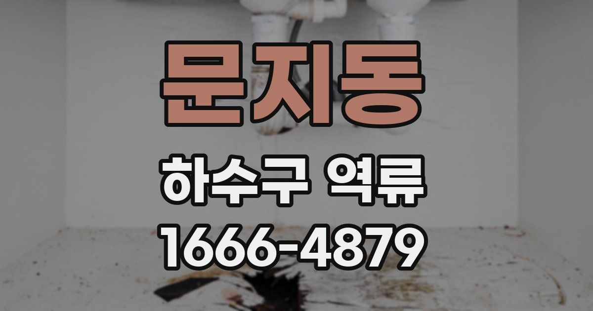 문지동 하수구 역류