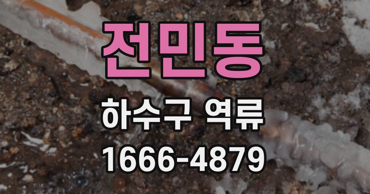 전민동 하수구 역류