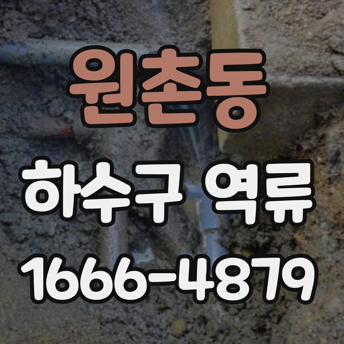 원촌동 하수구 역류
