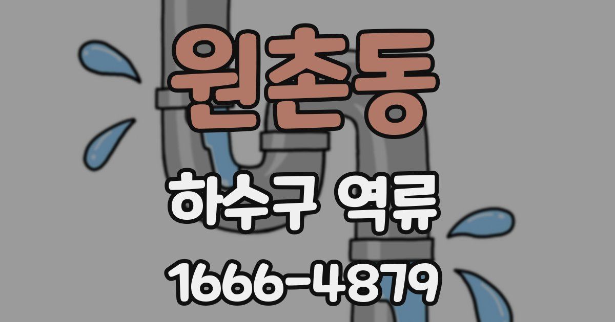 원촌동 하수구 역류