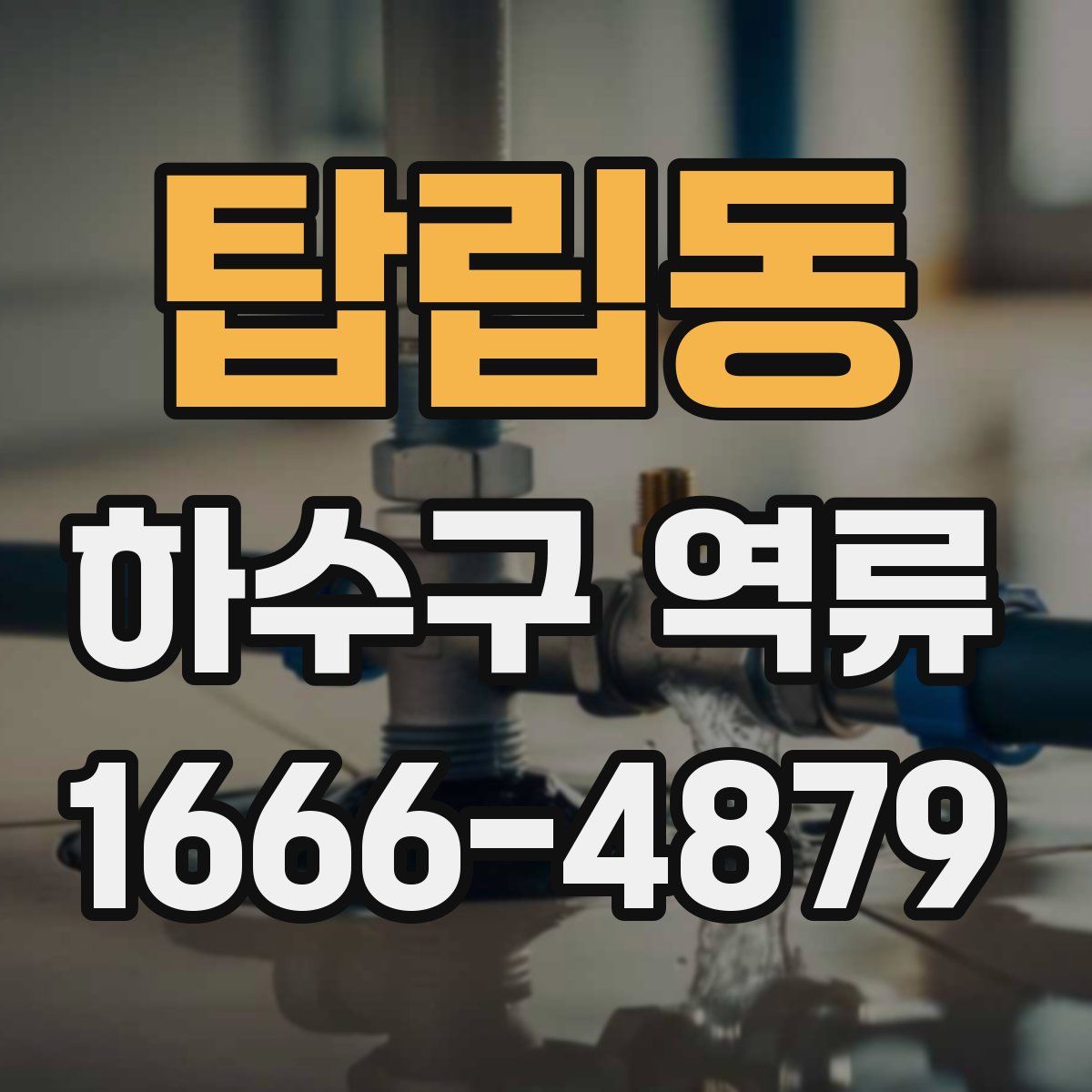 탑립동 하수구 역류