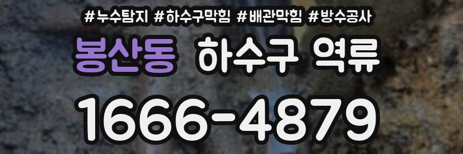 봉산동 하수구 역류