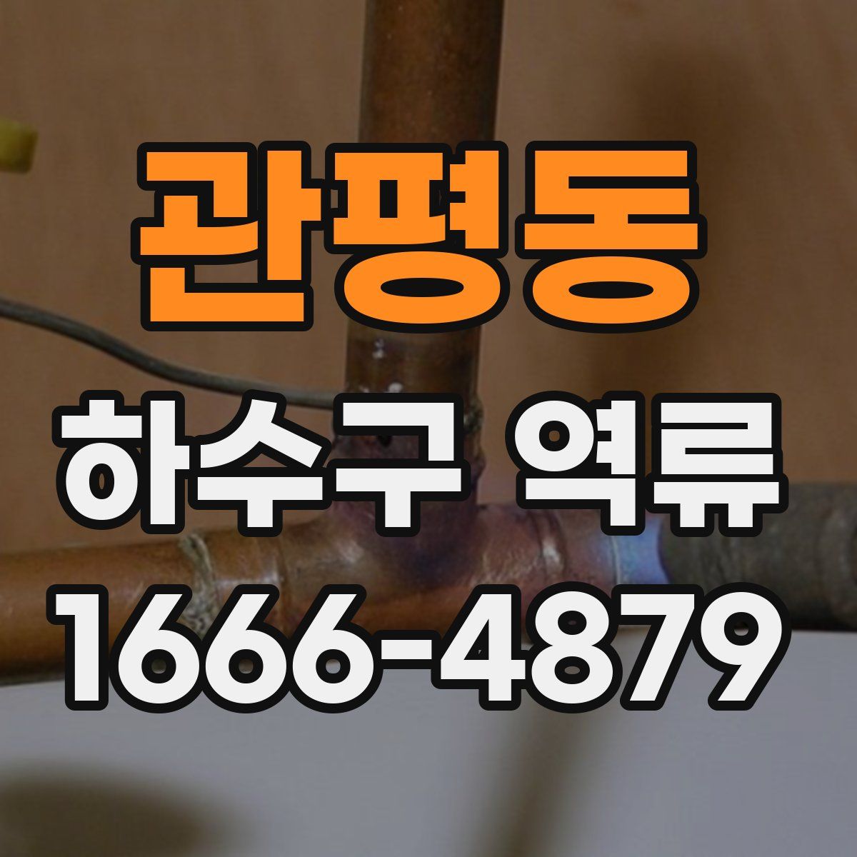 관평동 하수구 역류
