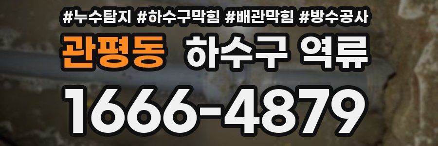 관평동 하수구 역류