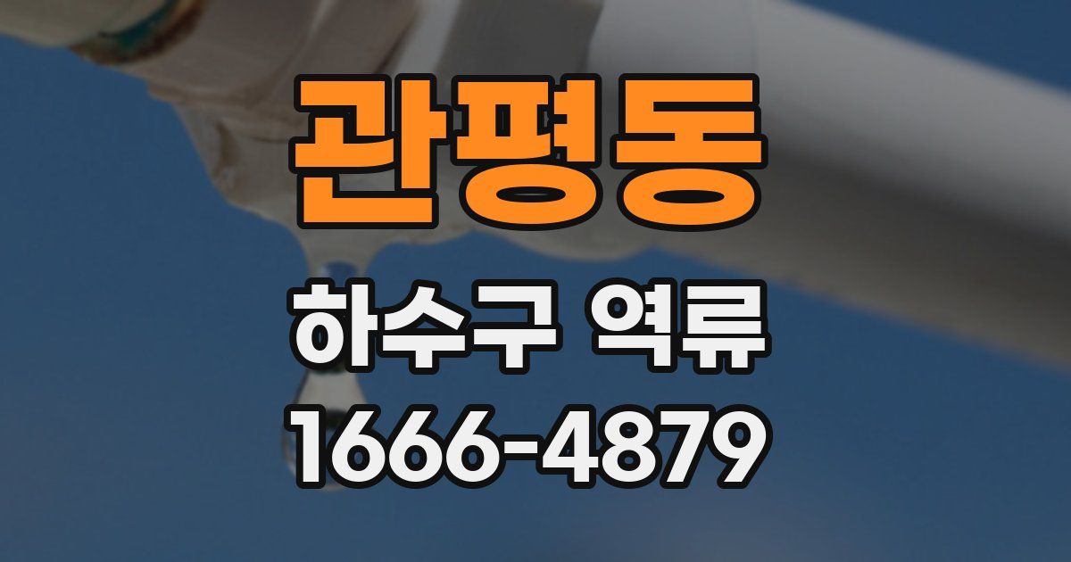 관평동 하수구 역류