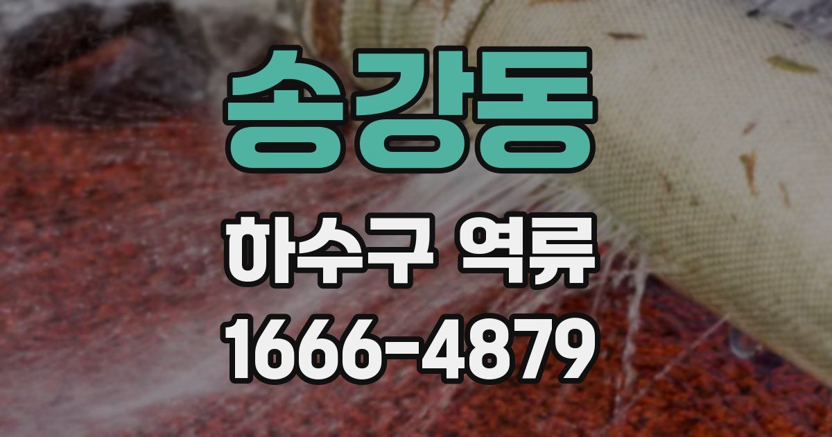 송강동 하수구 역류