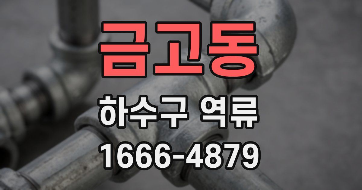 금고동 하수구 역류