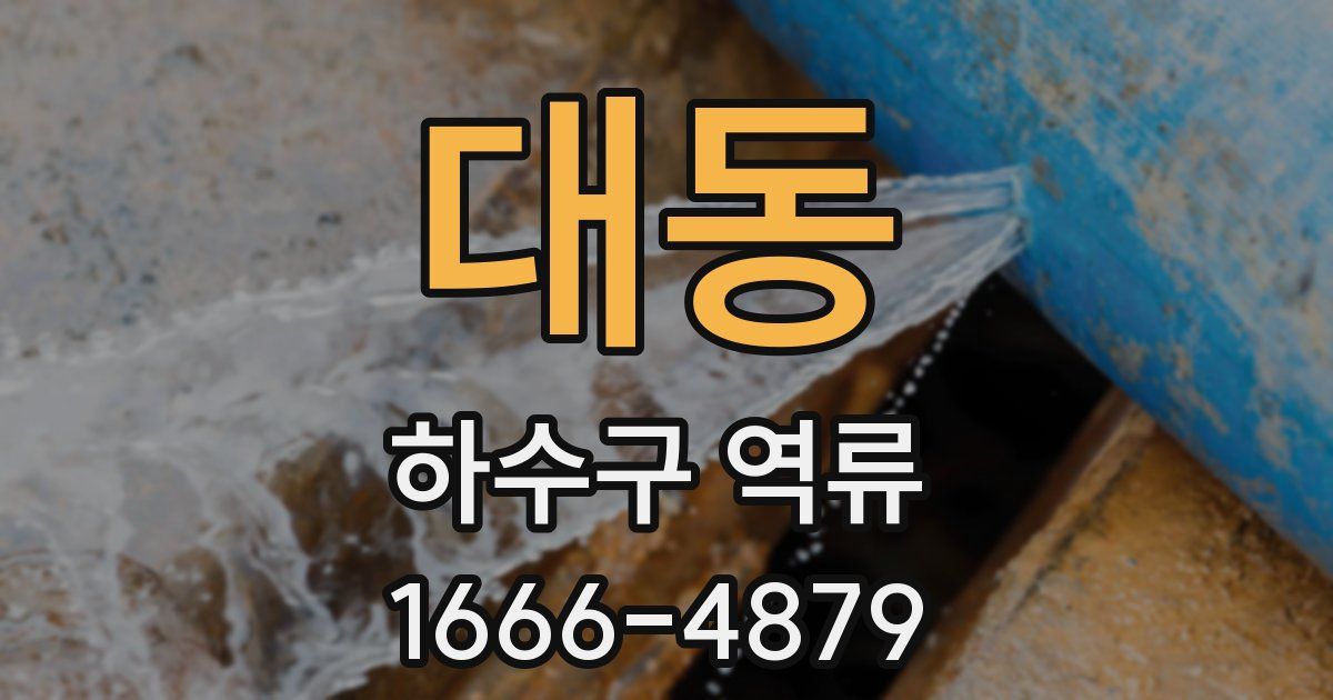 대동 하수구 역류