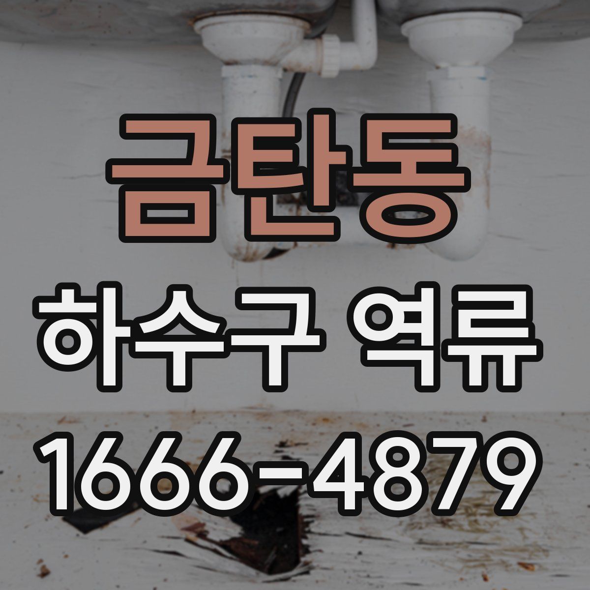 금탄동 하수구 역류