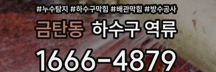 금탄동 하수구 역류