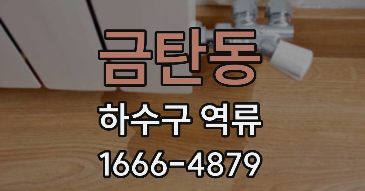 금탄동 하수구 역류