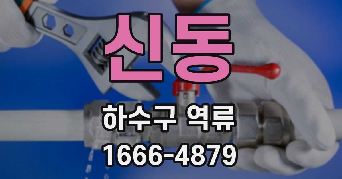 신동 하수구 역류