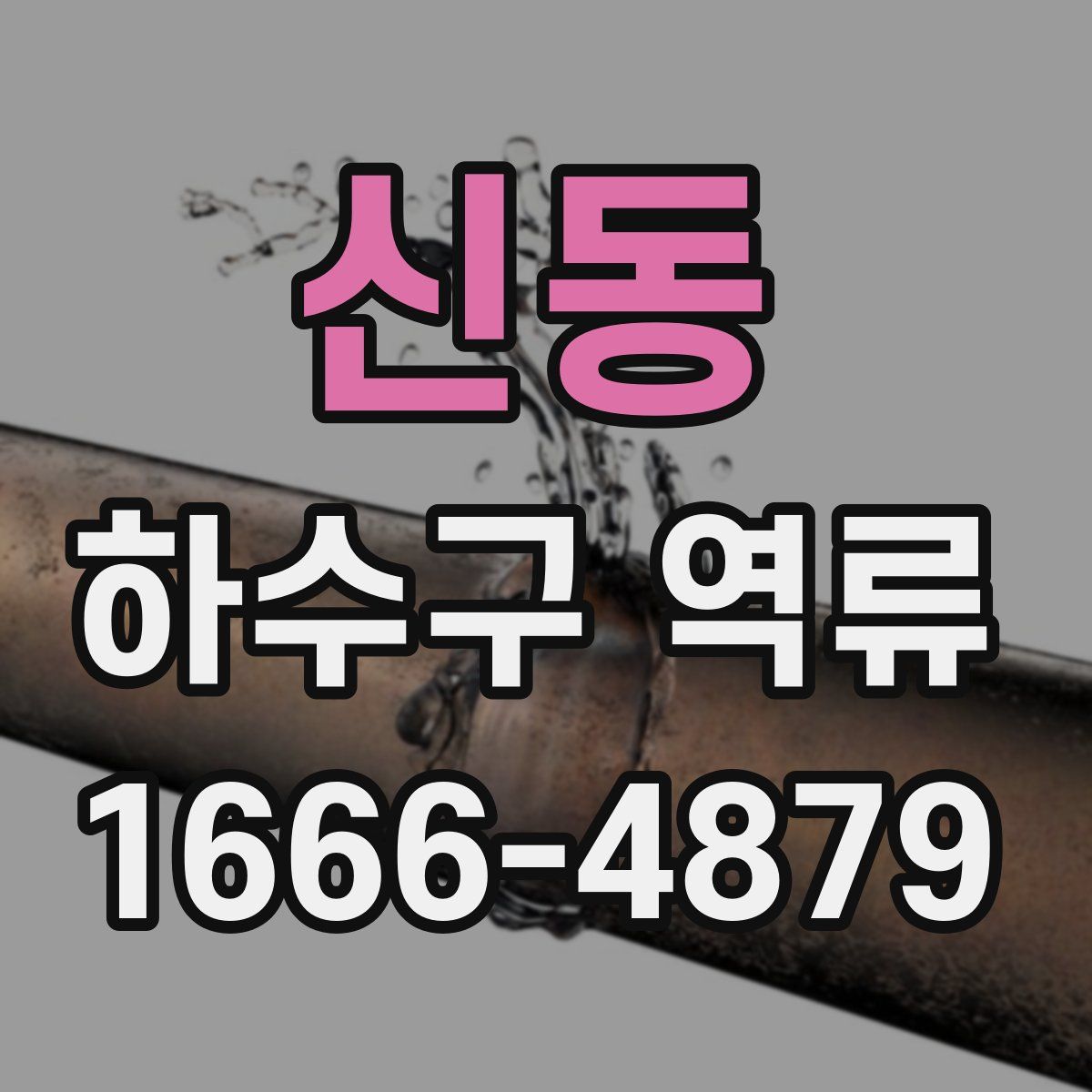 신동 하수구 역류