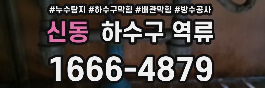 신동 하수구 역류