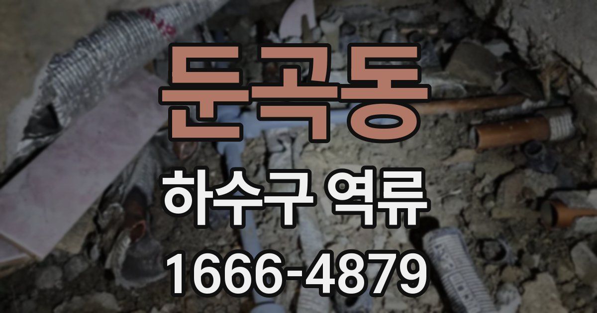 둔곡동 하수구 역류