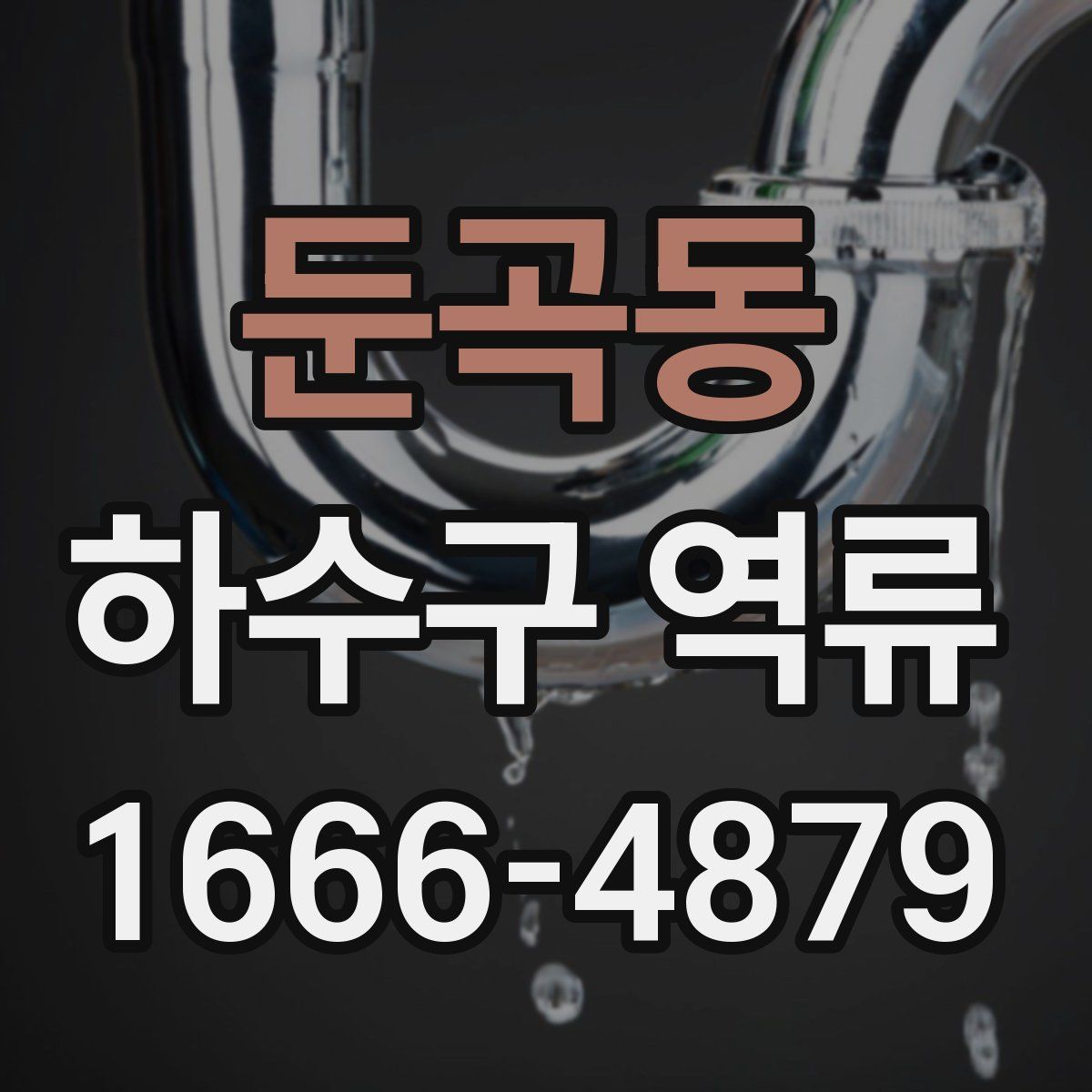 둔곡동 하수구 역류