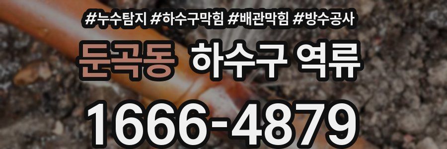 둔곡동 하수구 역류
