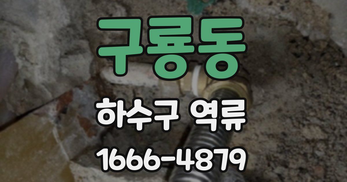 구룡동 하수구 역류