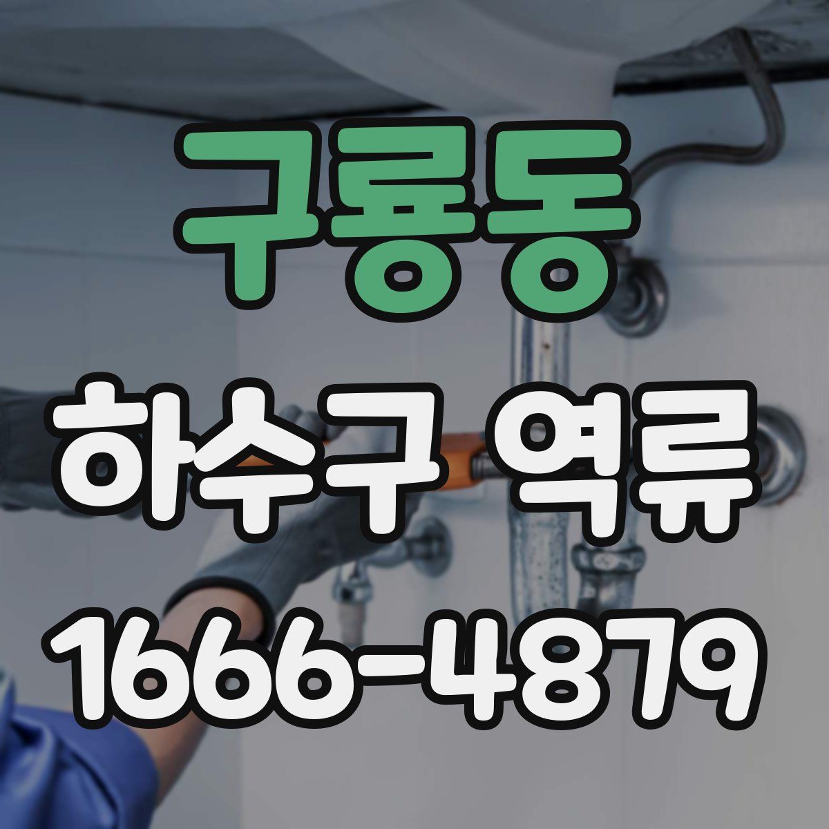 구룡동 하수구 역류