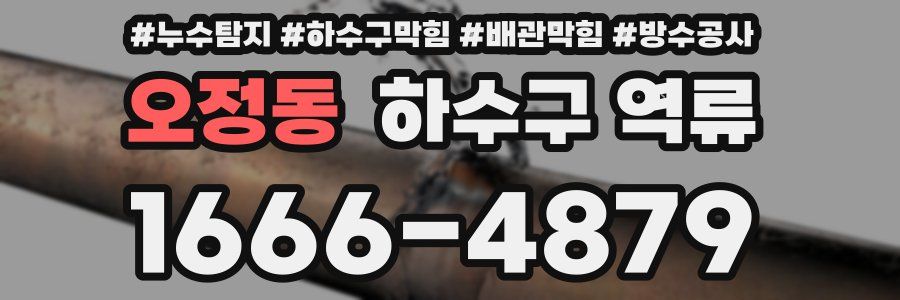 오정동 하수구 역류