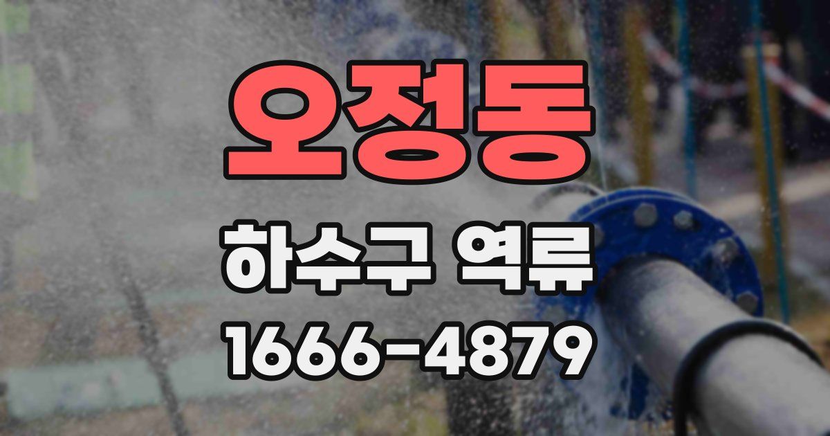 오정동 하수구 역류
