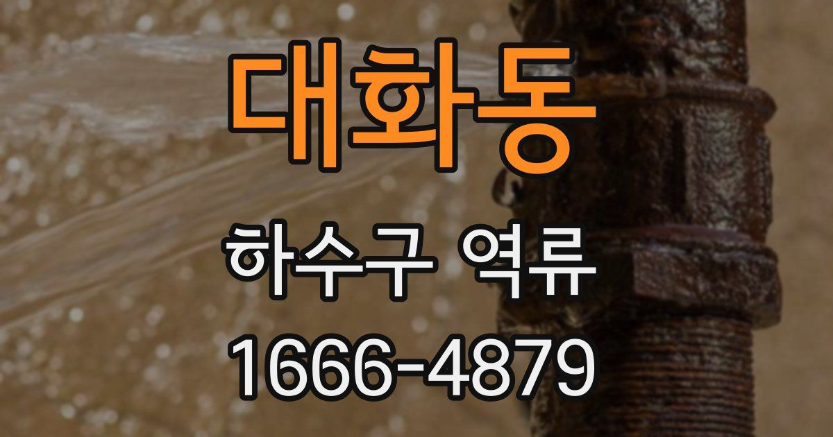 대화동 하수구 역류