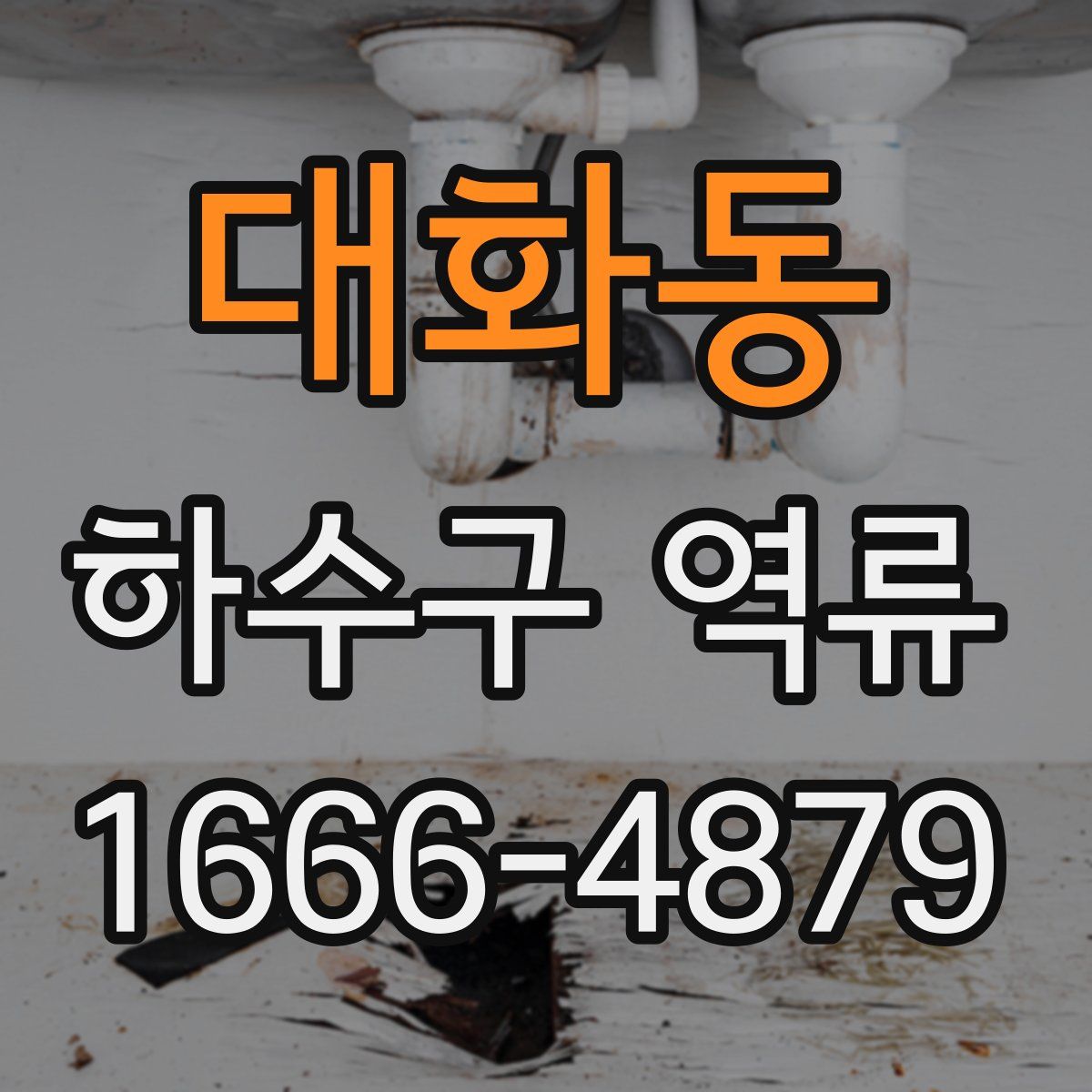 대화동 하수구 역류
