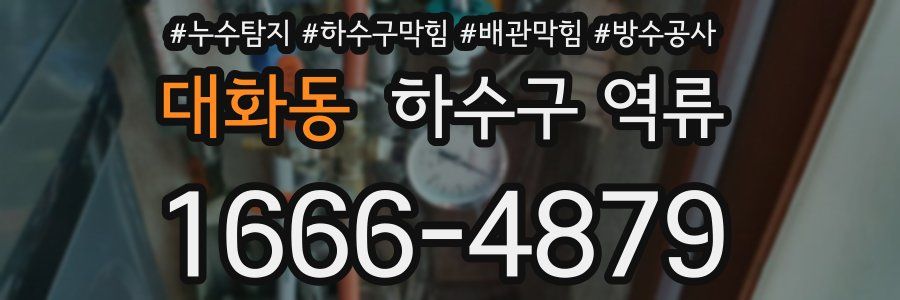 대화동 하수구 역류