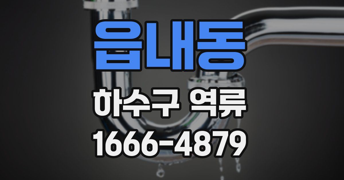 읍내동 하수구 역류