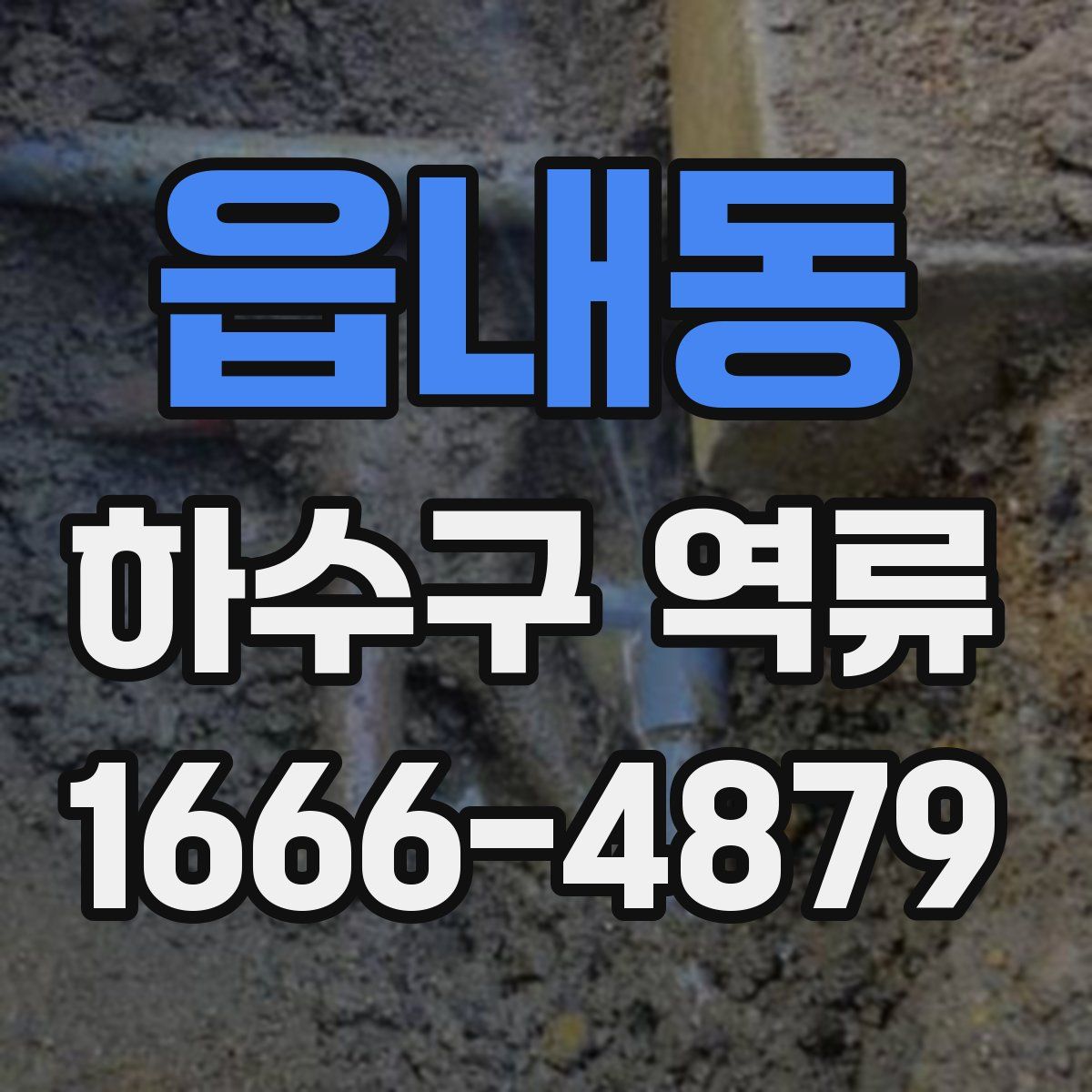 읍내동 하수구 역류
