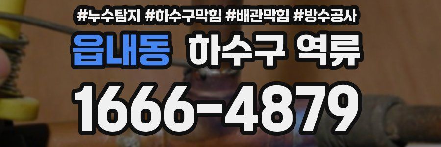 읍내동 하수구 역류