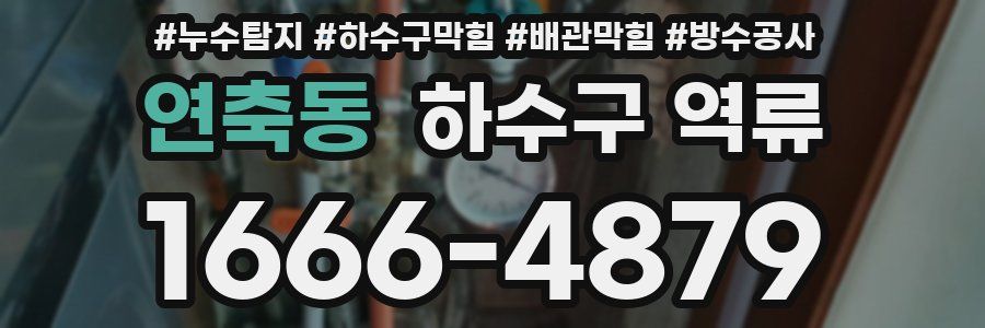 연축동 하수구 역류