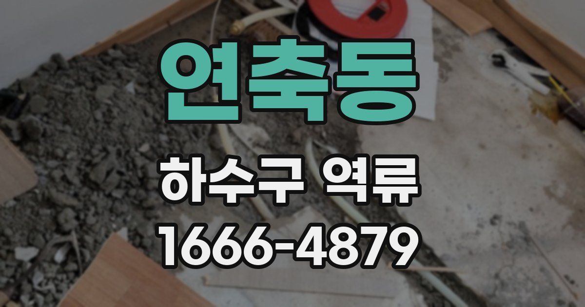 연축동 하수구 역류