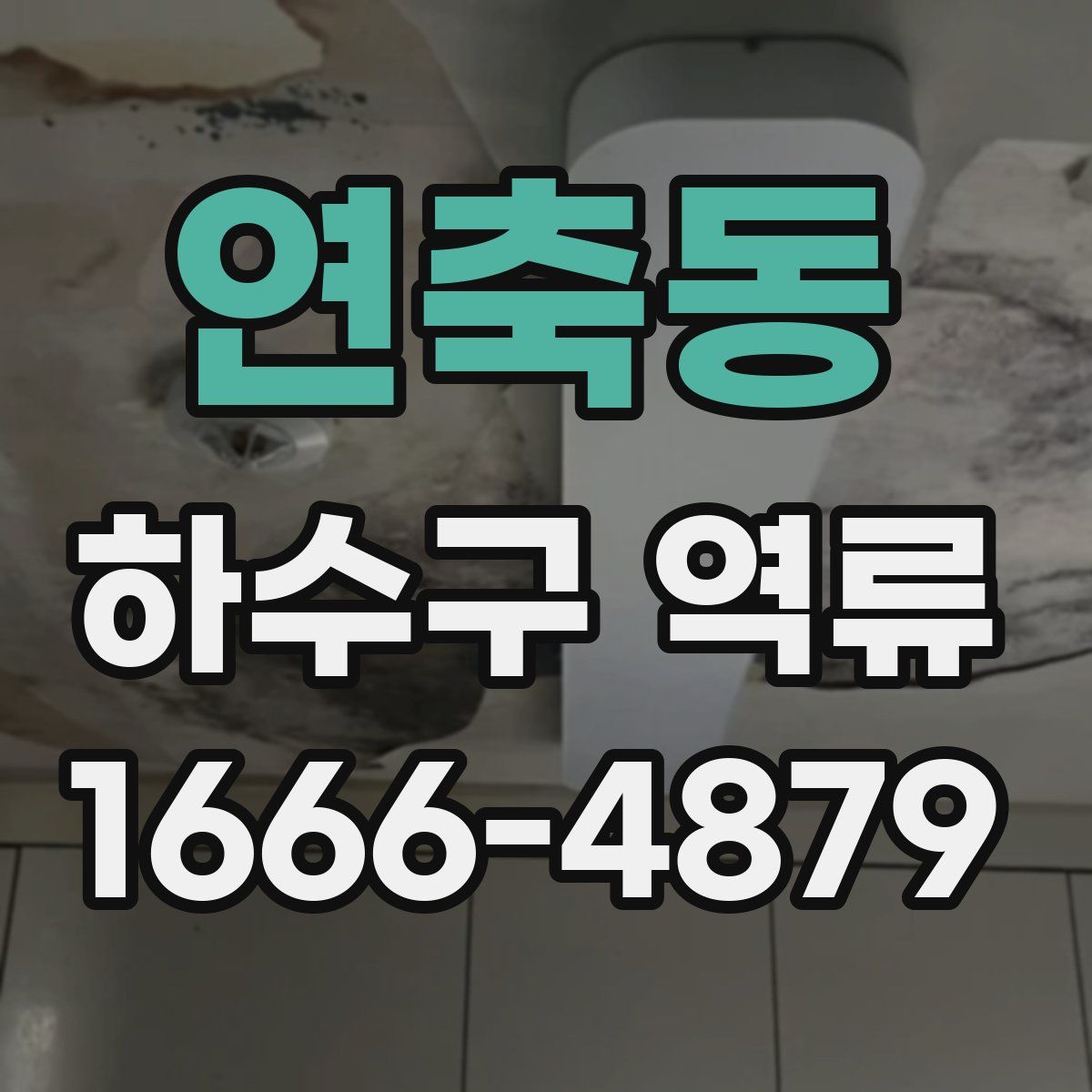 연축동 하수구 역류