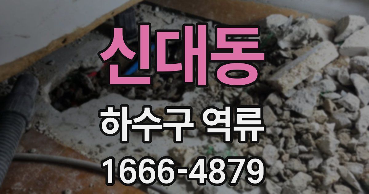 신대동 하수구 역류