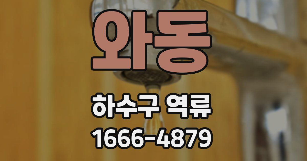 와동 하수구 역류