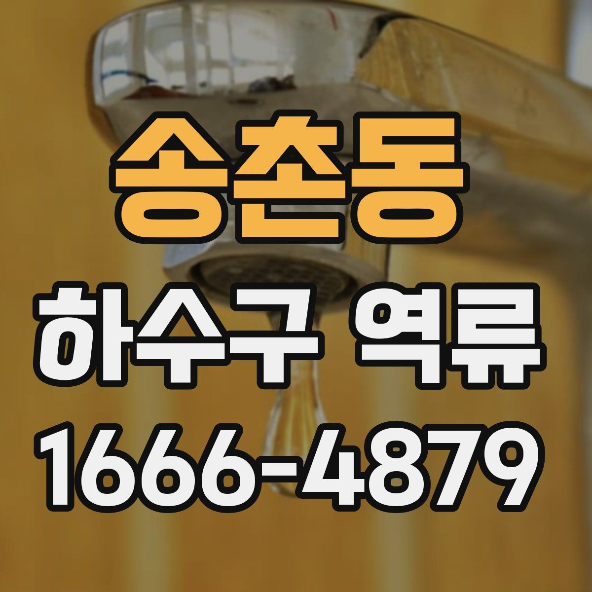 송촌동 하수구 역류