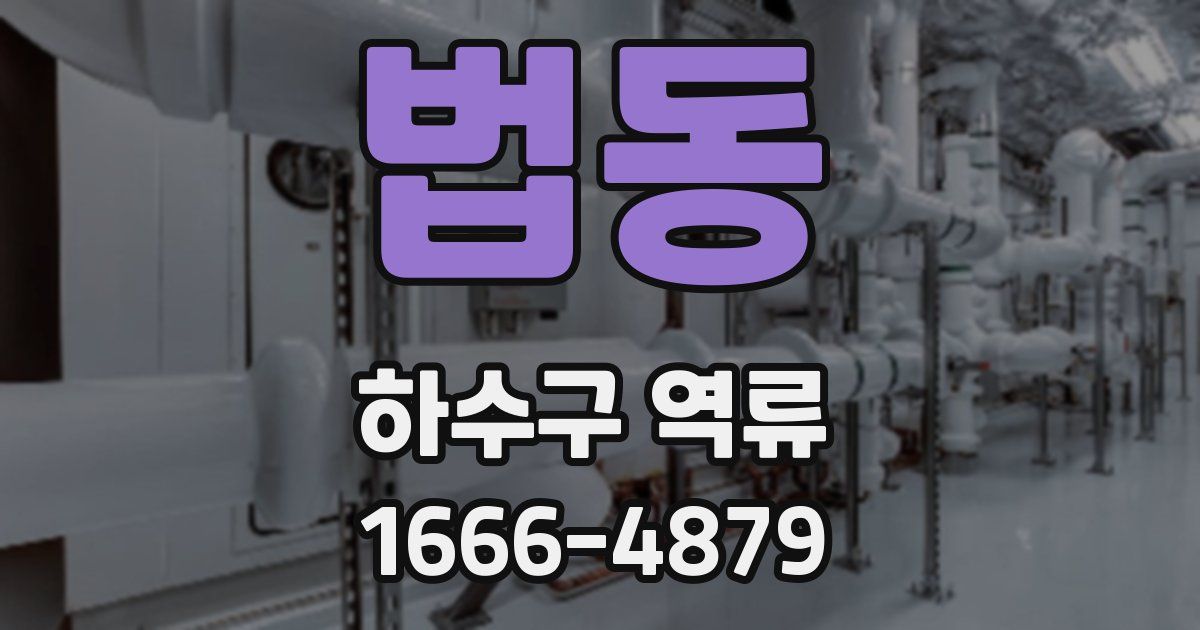 법동 하수구 역류